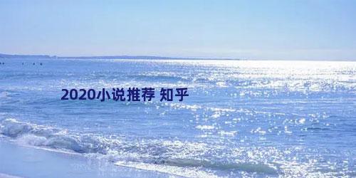 2020小说推荐 知乎